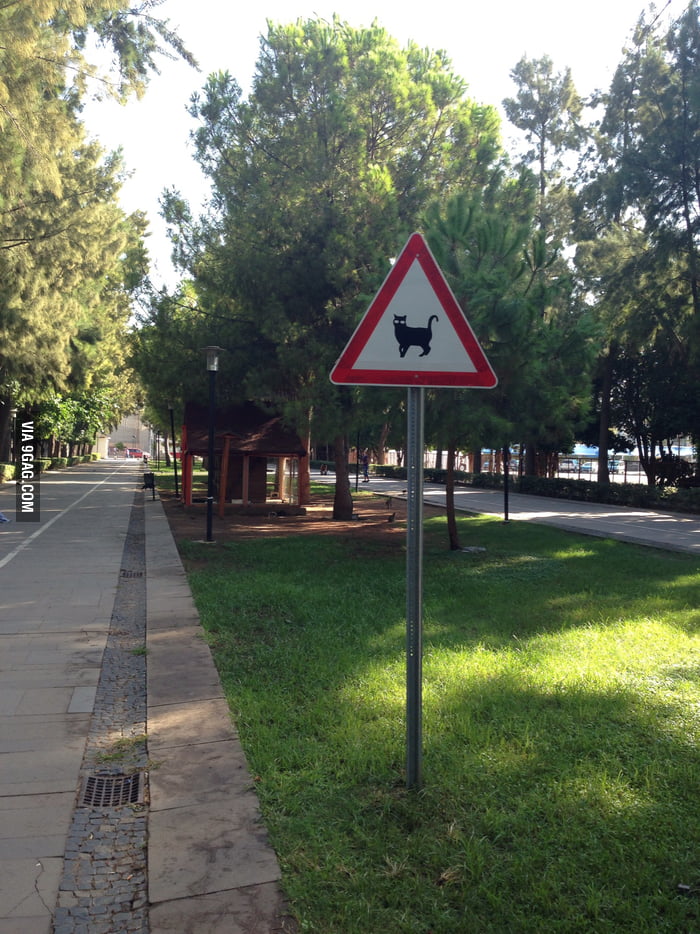 “Attention cat crossing” sign in Antalya, Turkey - 9GAG