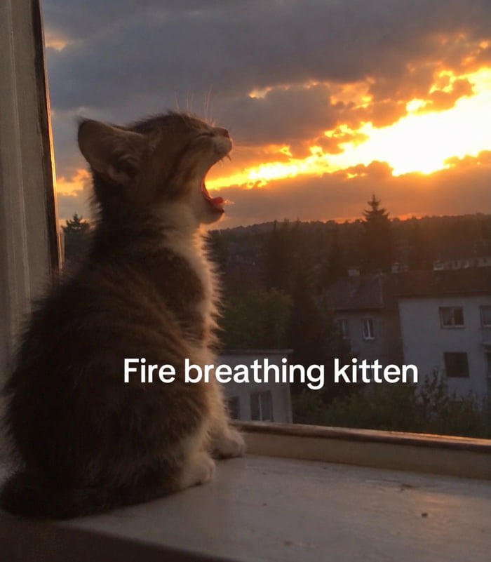 Post by pornpen jitprapa14