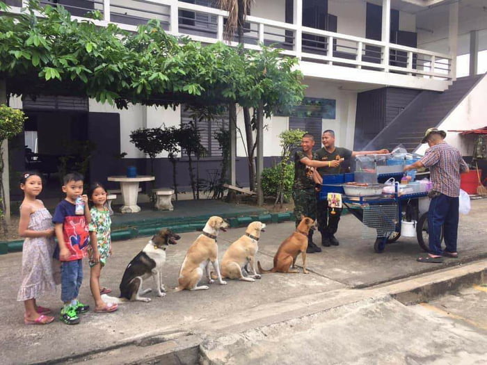 Who let the dogs queue! B-B-B-B-B-Q