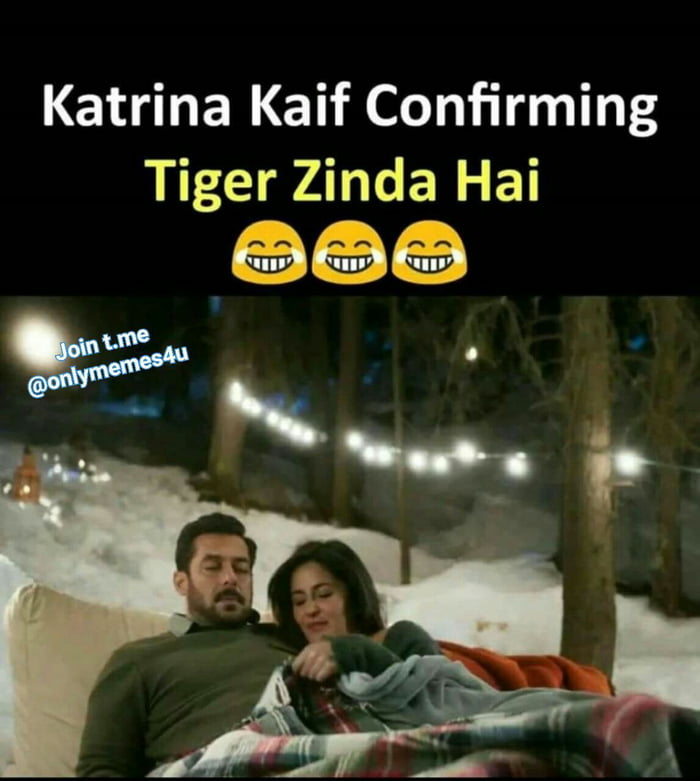 Tiger Zinda Hai Shayad... - 9GAG