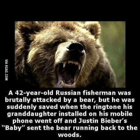 Even The Bear Was Scared Of Justin Bieber S Song 9gag