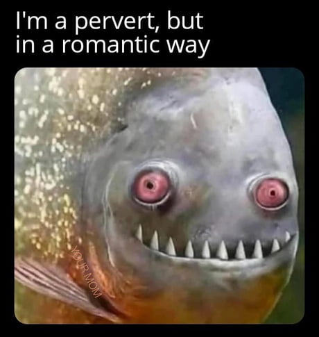 Best Funny pervert Memes - 9GAG