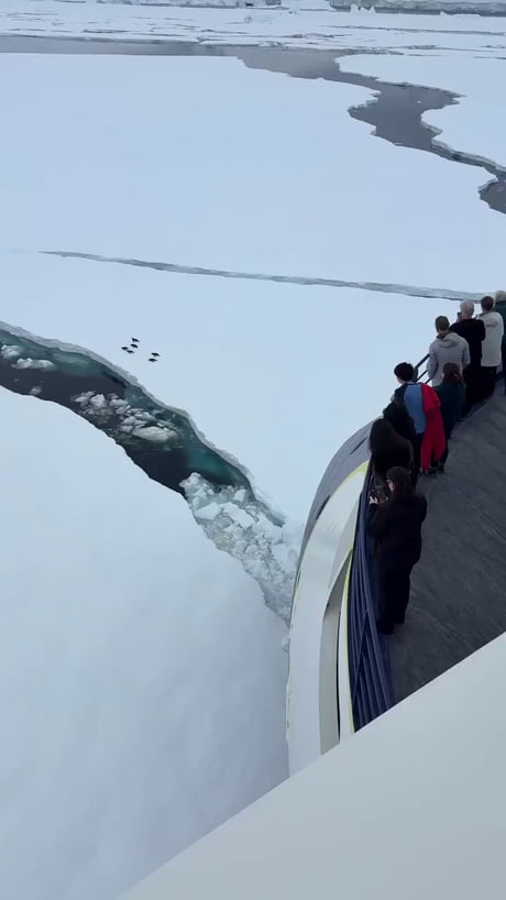 A ship in the Antarctic stops to let the penguins cross.