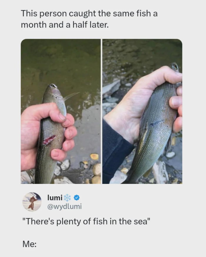 There's plenty of fish in the sea they said