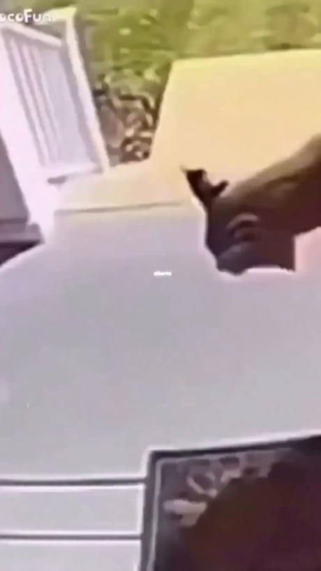 Finally, a kid without a phone