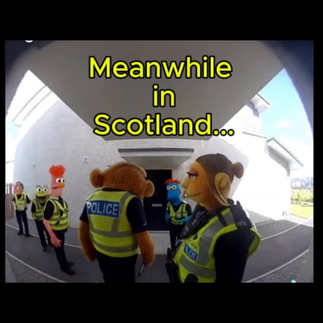 Well, well, well, isn't it the muppets at it again