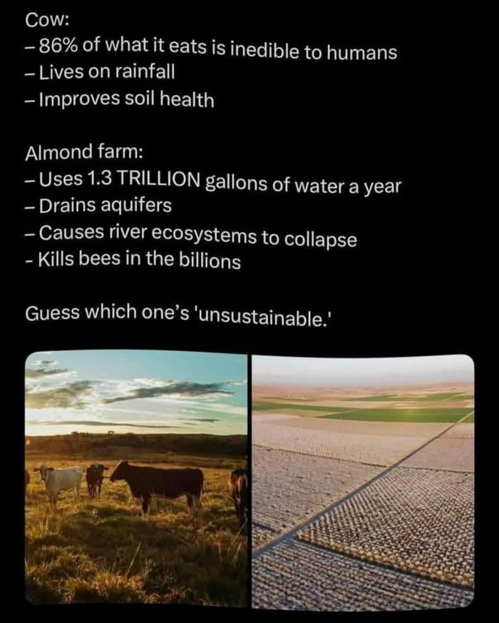 Almonds are a trash nut. They taste like nothing. And it takes 1 gallon to grow one almond. F**k almonds.