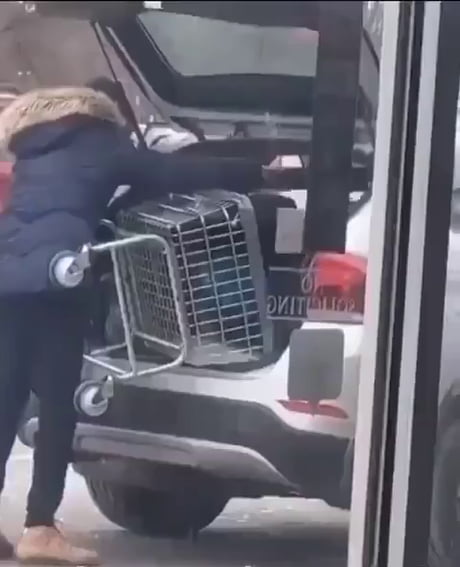 Stealing shopping cart goes right