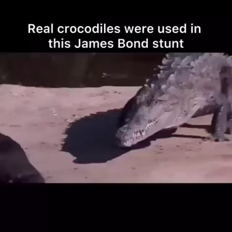 Where green screen?