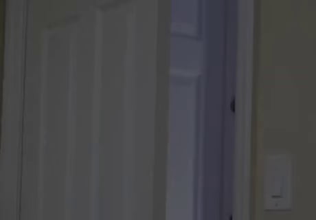 My cat at 3 a.m for no reason