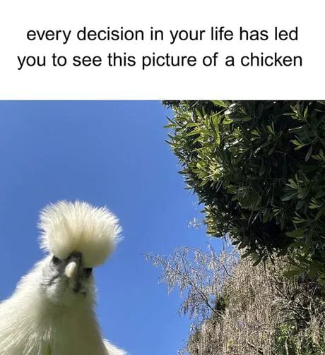 Chicken your destiny....