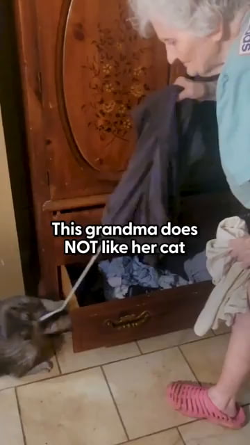 Grandma does Not like her cat