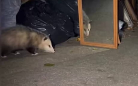 Seeing myself in a mirror after a night out