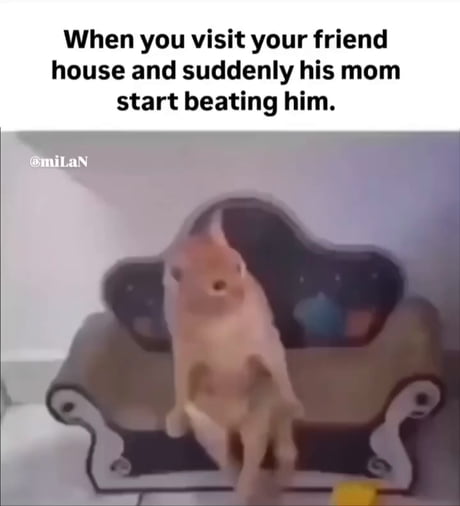 Don't mind me, I'll just slowly disappear.