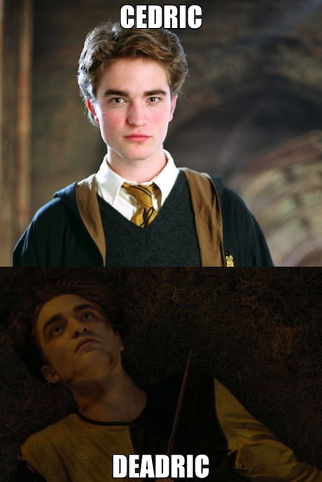 Diggory memes. Best Collection of funny Diggory pictures on iFunny