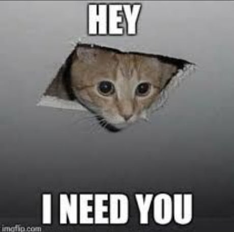 I need you cap : one of my friend is doing his CO and I need some wholesome  memes to cheer him up. Thanks to all of you memelords how will help