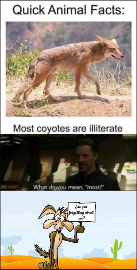 Best 30 Coyote Peterson Fun On 9gag