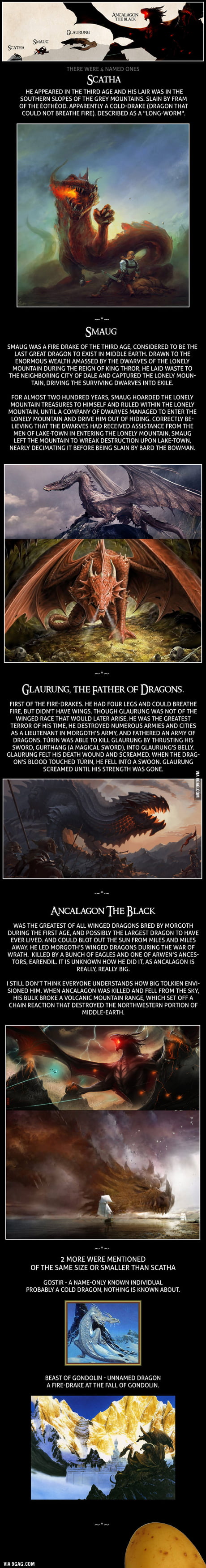 Dragons of Middle Earth - 9GAG
