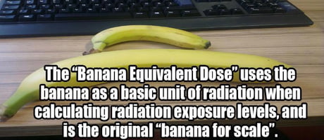 Banana Added for Scale (A New, More Forgiving Unit of Measure