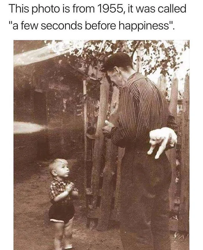 this photo is from 1955, it was called a few seconds before happiness, boy about to get puppy