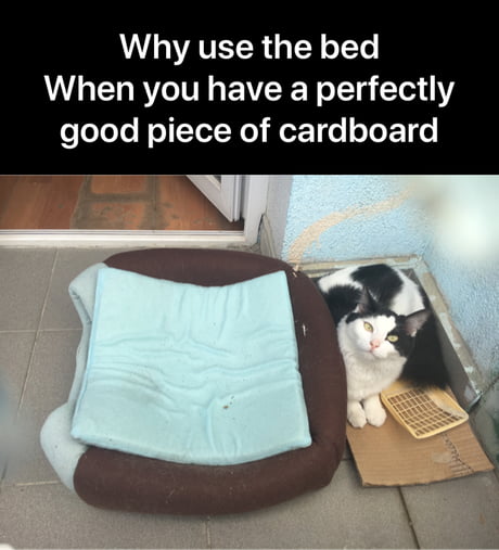 Preferences