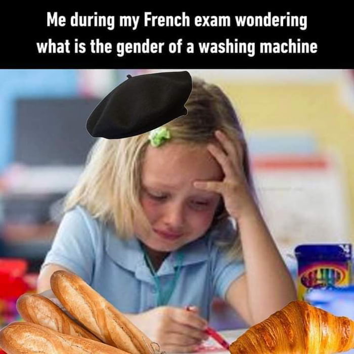 Gender Problems Came From French Language 9GAG