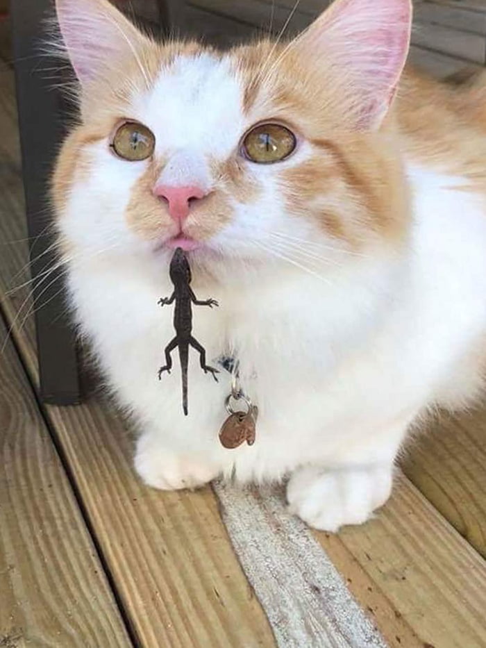 "How the tables have turned" 9GAG