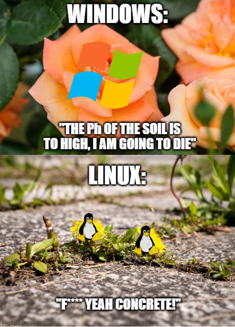 Best Funny linux Memes - 9GAG