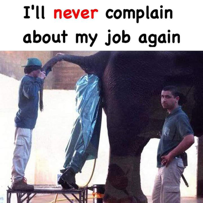Ill Never Complain About My Job Again 9GAG ill-never-complain-about-my-job-again-9gag