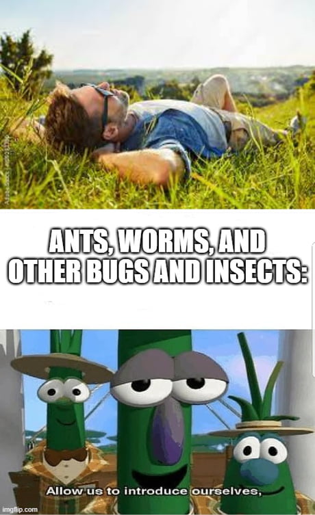 The best Grass memes :) Memedroid