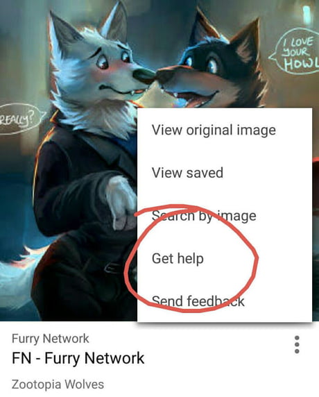 Google Furry Porn - Look what google suggested when I searched for furry pics - 9GAG