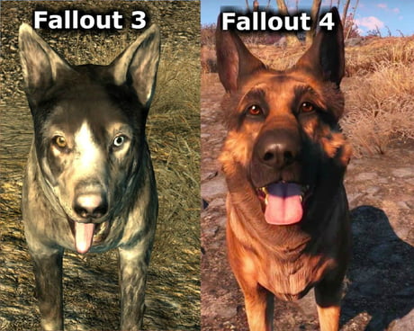 fallout 4 dog found something