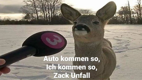 aegQLeb_460s.jpg