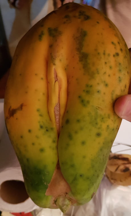 Papita Sex - Identifying a papaya tree sex - 9GAG