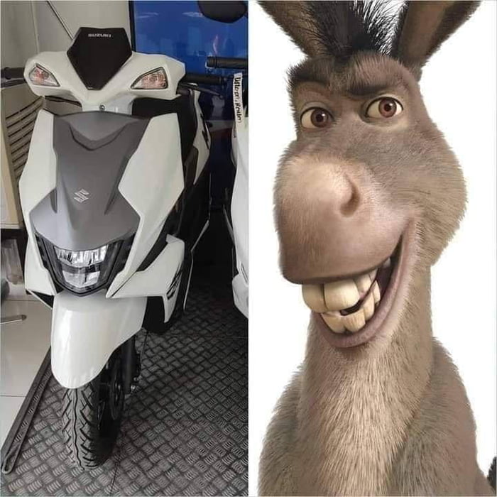 Donkey the scooter😂 9GAG