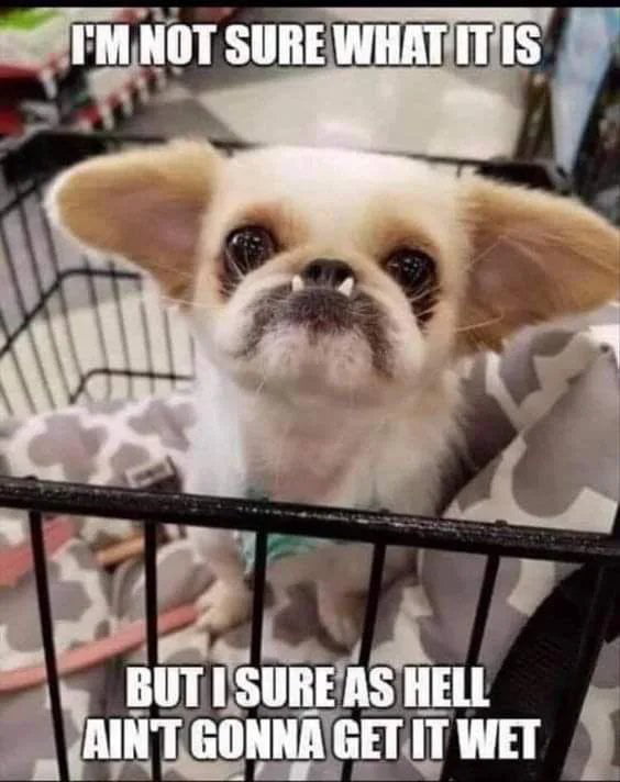 No Food After Midnight 9GAG