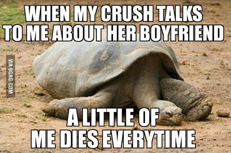 Drowned In Friendzone 9gag