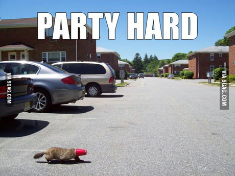 After party be like - 9GAG
