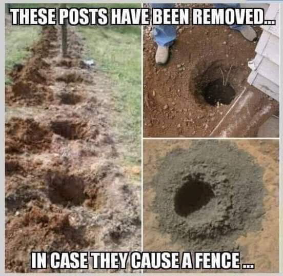 9Gag these days
