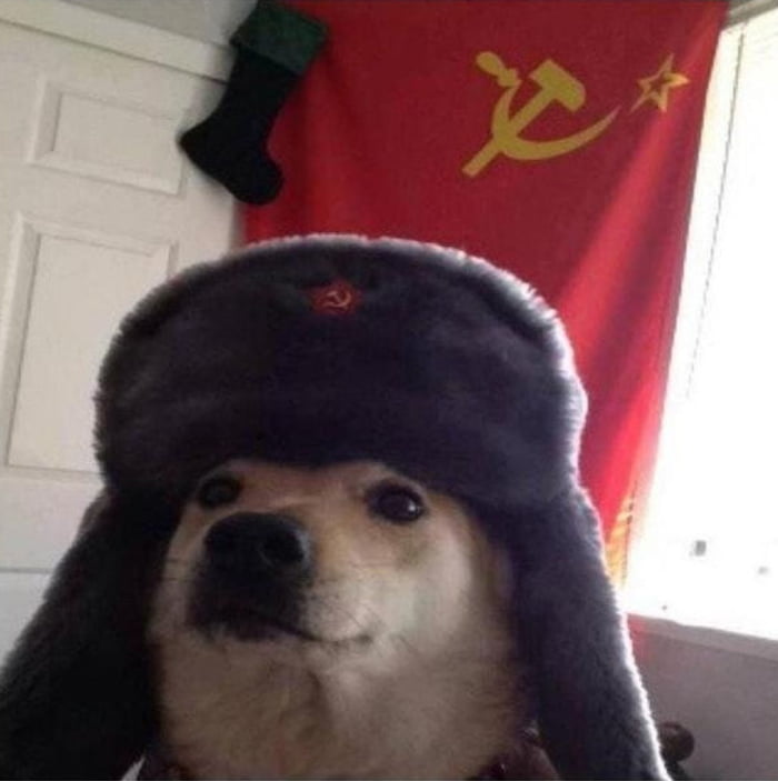 Rest in Peace Trudy (AKA Comrade Doggo) 2/1/2007 - 4/9/2019