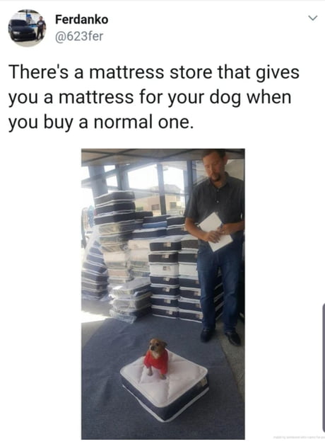 Something wholesome in your feed to make your day!