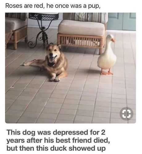 After his best friend died