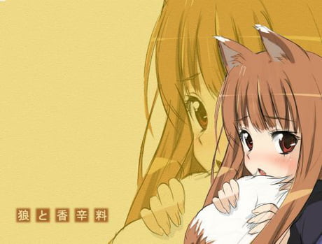 daily best wolf girl holo 127 source spice  wolf  9gag