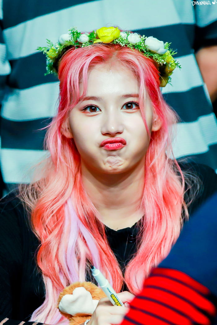 Photo : Sana