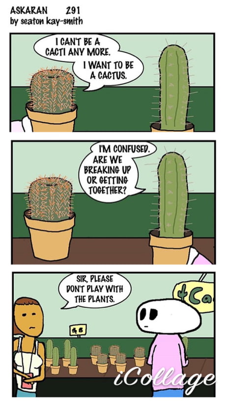 Cacti cactus - Meme Fort