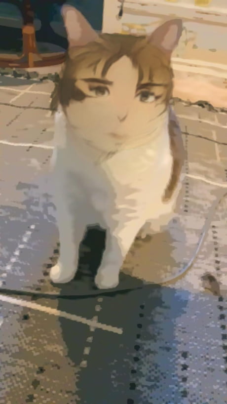 Angry Anime Cat filter went wrong. - 9GAG