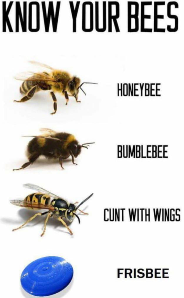 PSA