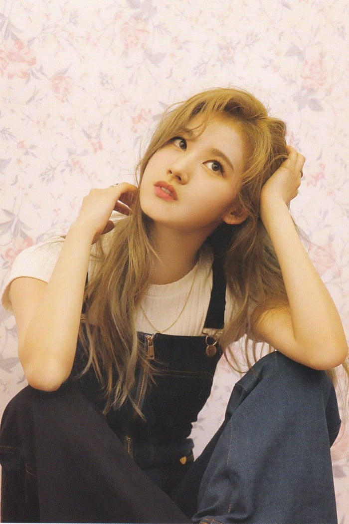 Photo : Sana