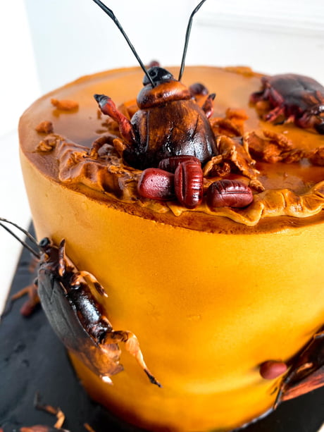 Cockroach Cake 🍰 #cockroach #cockroachcake #designcakes #customisedcakes # cakes #clubfalooda #cakesofgoodtaste #tasteoftaliparamba... | By Club  FaloodaFacebook