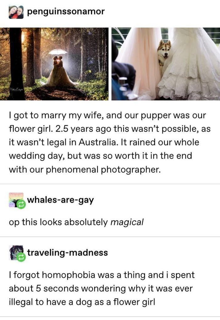 An absolutely angelic wedding